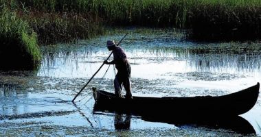 Nu-i minciună! Pescarii de la Marea Neagră și Dunăre au capturat peste 3.179 tone de pește - 5