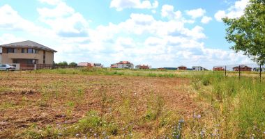 Stire din Economie : Numărul ofertelor de pe piața terenurilor agricole din județul Constanța e în declin
