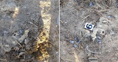 Dezastru ecologic la Dunăre: mii de oi moarte în Portul Midia, îngropate în spatele crematoriului din Tulcea! - 4