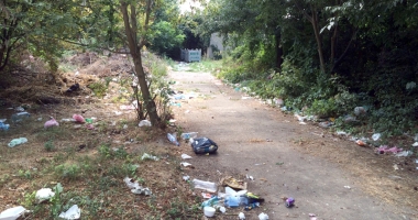 "Comoara" de la Palatul Copiilor - paragina întinsă pe 10 hectare! - 3