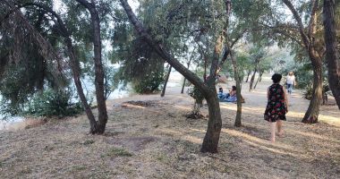 Parcul Rotterdam, în vizorul administrației locale din Constanța. Ce au decis consilierii - 2