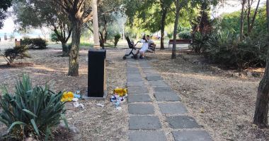 Parcul Rotterdam, în vizorul administrației locale din Constanța. Ce au decis consilierii - 3