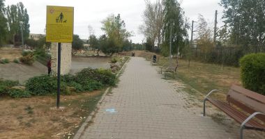 La pas prin parcurile Constanței: "Când vine Poliția Locală oamenii își amintesc să fie civilizați!" - 2