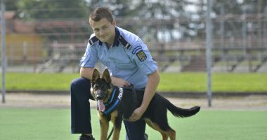 Stire din Eveniment : Mai multe patrule cu câini pe străzi. IGPR vrea listă cu polițiștii dornici să lucreze cu patrupedele