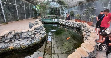 Semnal de alarmă la Microrezervaţie! Nu mai aruncați monede și mâncare la animale și pești! - 4