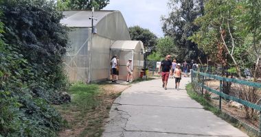 Semnal de alarmă la Microrezervaţie! Nu mai aruncați monede și mâncare la animale și pești! - 5