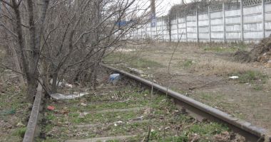 Portul Constanța va fi deblocat! Guvernanții vor lua decizii majore pentru viitorul său - 5