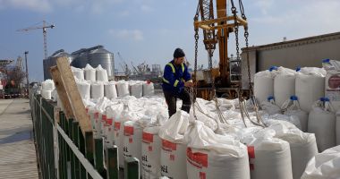 Porturile maritime românești țintesc spre un trafic record, de peste 72 milioane de tone! - 2