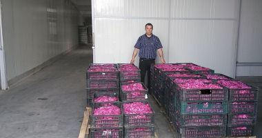 O afacere mai puţin întâlnită. Petalele de trandafiri nu vă îmbogăţesc, dar vă parfumează viaţa - 2