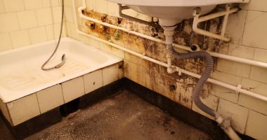 Focar de infecție la Penitenciarul Poarta Albă. „Șobolanii ies prin încăperi” - 4