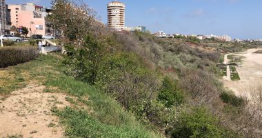 Transformare spectaculoasă a promenadei din Portul Tomis şi Plaja Modern. Ce propun arhitecţii - 3