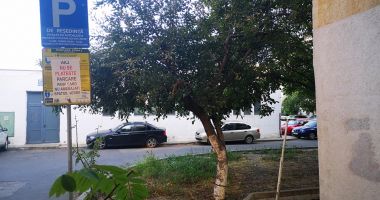 Stire din Social : Protest inedit în Cartierul Inel 2. „Aici nu se plăteşte parcare până când nu amenajaţi spaţiul verde!”