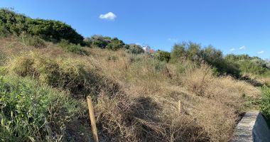 A fost abandonat proiectul de blocuri şi străzi de pe faleza de la Plaja Modern? Taluzul, plin de bălării! - 2