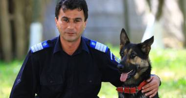 Stire din Eveniment : Reba, spaima infractorilor. Cum acționează și cum sunt pregătiți câinii de urmă