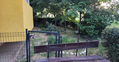 Spațiul verde din fața blocului, motiv de dispută între vecini. "Și-a făcut terasă privată și țarc pentru câine!" - 2