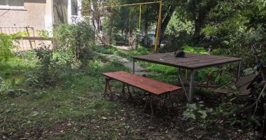 Stire din Politică-Administrație : Un nou regulament în vizorul consilierilor locali. Fără zarzavaturi pe spațiile verzi de lângă blocuri!