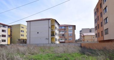 Măcelul spațiilor verzi își ia tributul! Reguli mai stricte pentru dezvoltatorii imobiliari - 2