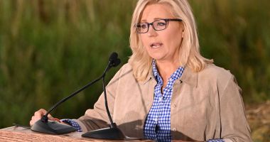 Liz Cheney, reprezentanta republicanilor anti-Trump, a pierdut alegerile primare