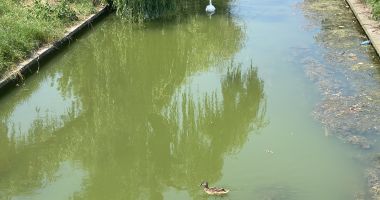Satul de Vacanță, la limita dintre kitsch și civilizație - 9