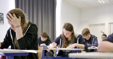 Semnal de alarmă la simularea BAC 2021. Mii de elevi au picat testarea - 2