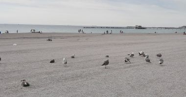 Semnal de alarmă, de pe plajă: „Este un fiasco, se distruge turismul în Mamaia!” - 7