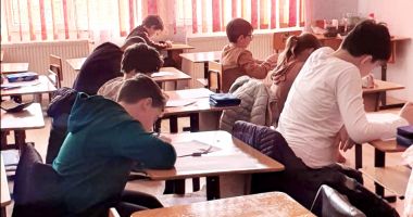 Încântați de subiectele de la simularea primei probe, elevii de a VIII-a au oftat la vederea baremului - 2