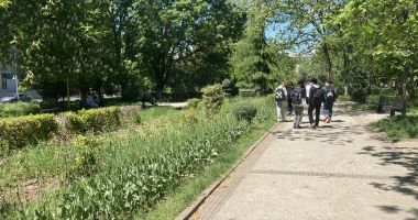 Primăria Constanța apelează la agenții economici pentru îngrijirea spațiilor verzi. „Nu înstrăinăm domeniul public!” - 3