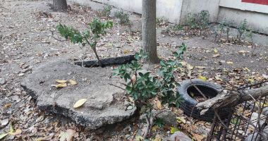 Potecă de groază în zona Casei de Cultură: pietroaie, gunoaie și sârmă ghimpată! - 5