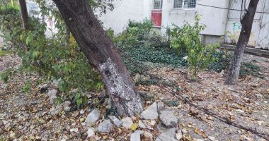 Potecă de groază în zona Casei de Cultură: pietroaie, gunoaie și sârmă ghimpată! - 7