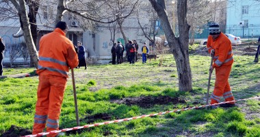Constănțenii se luptă pentru spațiul verde dintre blocuri - 7