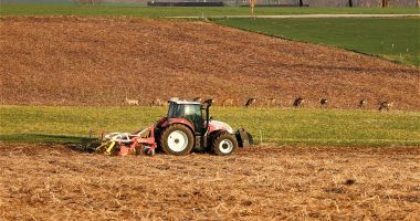 Terenuri agricole, la vânzare pe piața constănțeană. Prețul mediu e de 2,76 lei pe metru pătrat - 2
