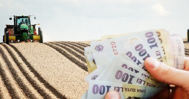 Stire din Economie : Terenurile agricole din județul Constanța s-au scumpit cu aproape 37% în ultimele trei luni. Iată cele mai recente oferte!