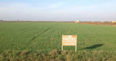 Terenurile agricole din județul Constanța s-au scumpit cu aproape 37% în ultimele trei luni. Iată cele mai recente oferte! - 3