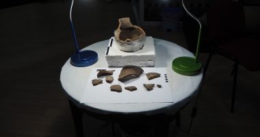 Povestea tezaurului numismatic descoperit la Ciobănița, care va fi expus spre vizitare - 3