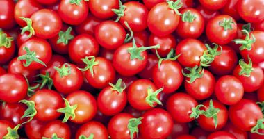 Stire din Economie : Ministrul Agriculturii, Petre Daea: Programul "Tomate"  a fost un succes pentru țară