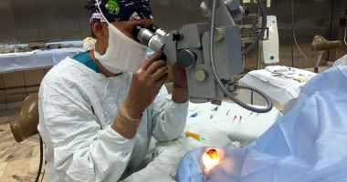 Stire din Sănătate : Tratamentul atrofiei nervului optic, efectuat cu succes, la Institutul "Microchirurgia ochiului"