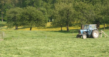 Stire din Economie : Guvernul legiferează fondurile mutuale din agricultură