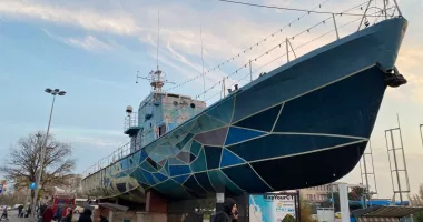 Stire din Social : Descoperire șocantă în vaporașul de la Gară! Păsări moarte și pui salvați în ultimul moment