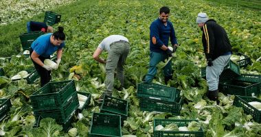 Stire din Actualitate : Spania va legaliza anual statutul a 300.000 de mirgranţi pentru extinderea forţei de muncă