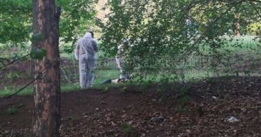 Adolescentă ucisă și abandonată într-o pădure