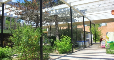 "Perla" rușinii în Mamaia. Cum a ajuns boemul complex plin de artiști o ruină plină de bălării - 4