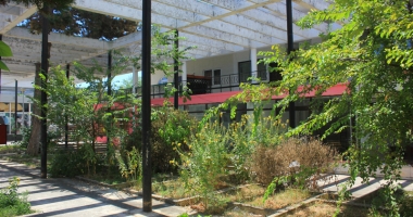 "Perla" rușinii în Mamaia. Cum a ajuns boemul complex plin de artiști o ruină plină de bălării - 2
