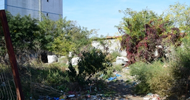 Stire din Social : Amenzi usturătoare pentru proprietarii de clădiri și terenuri neîntreținute