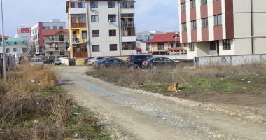 Făgădău: "Până în 2020, nu va mai fi stradă neasfaltată!" - 7