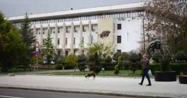 Sufocați de rahați! Cine adună maidanezii de pe străzile din Constanța - 6