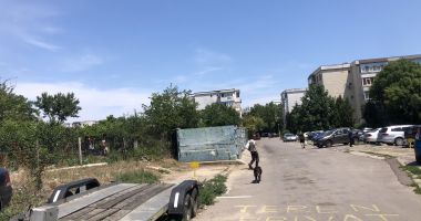 Din ce în ce mai mulți maidanezi, în zona CET. "Au început să reapară și vin în haite!" - 2