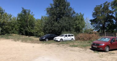 Alo, Primăria Constanța? Maidanezii agresivi ne fac viața un calvar! - 3