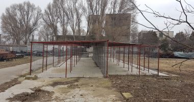 Maidanezii "încolțesc" Constanța. Când va fi gata adăpostul de câini și când vor fi adunați de pe străzi? - 3