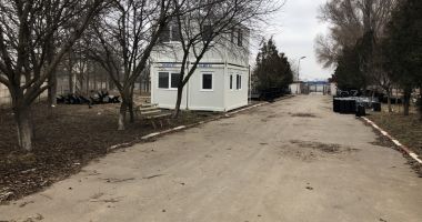 Maidanezii "încolțesc" Constanța. Când va fi gata adăpostul de câini și când vor fi adunați de pe străzi? - 4
