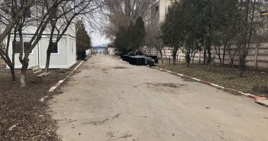 Maidanezii "încolțesc" Constanța. Când va fi gata adăpostul de câini și când vor fi adunați de pe străzi? - 5